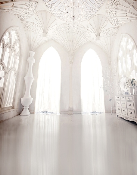 北京製B-y-5781撮影用背景布★多サイズ対応(0.5ｍ x 0.9～3ｍ x 7m）★