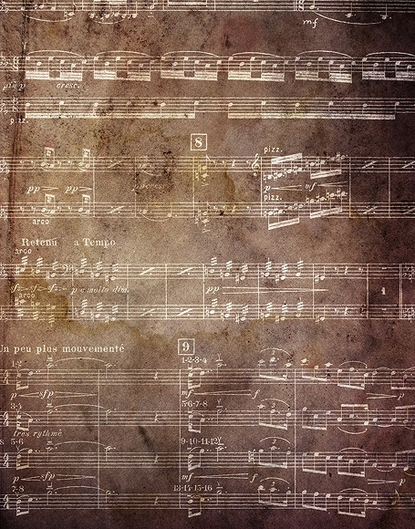 北京製B-y2261撮影用背景布★多サイズ対応(0.5ｍ x 0.9～3ｍ x 7m）★