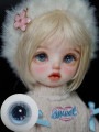 EYER422【xkm】ドール用グラスアイ12~18ｍｍ|グラスアイ|◆ドールアイ