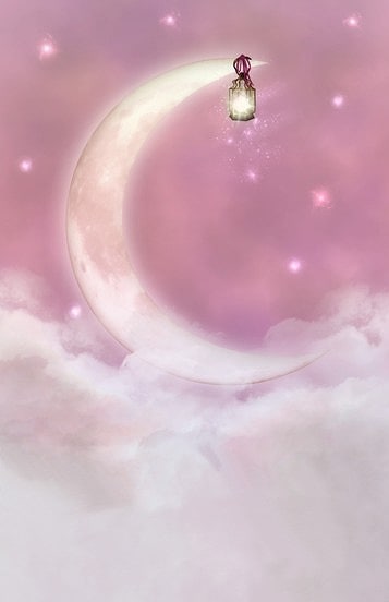 即納品L-B-w007 ドール用背景布（現品限り）　L(幅100ｃｍｘ長さ150ｃｍ)