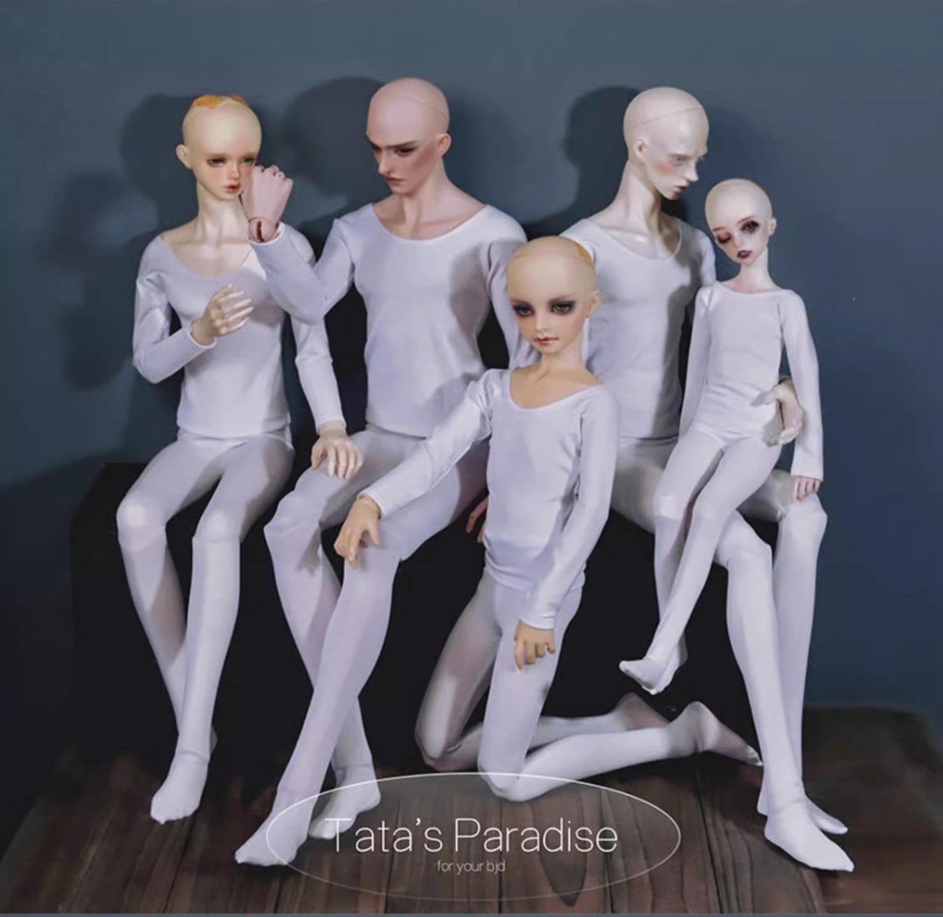 KM1761【TATA】1/4MSD～75cmサイズ色移り防止上下セット