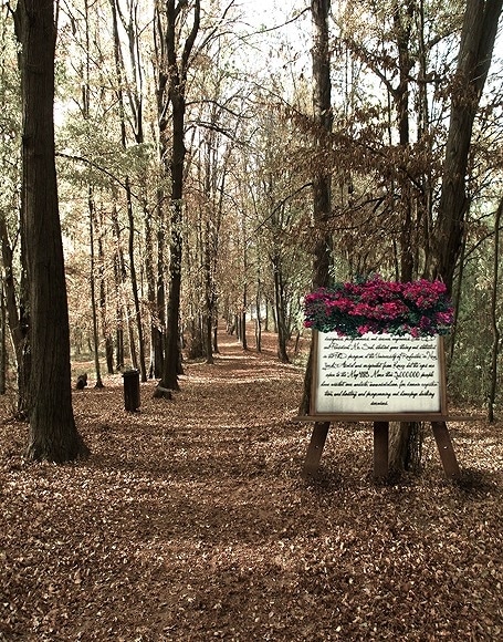 即納品M-B-y-4110 ドール用背景布（現品限り）　M(幅0.6ｍｘ長さ1.2ｍ)