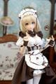 AF11147【mu】DD(S/L/M),SDGR女,DDDY用洋服11点セット