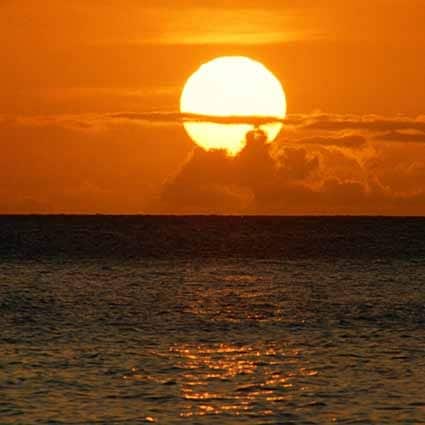 即納品S-B-1832  ドール用背景布（在庫あり）　S(幅0.5ｍｘ長さ0.9ｍ)