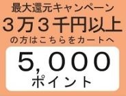 5000ポイント還元(3万3千円以上購入者用)【年間最大ポイント還元キャンペーン】