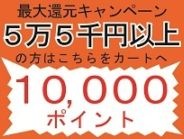 10,000ポイント還元(5万5千円以上購入者用)【年間最大ポイント還元キャンペーン】