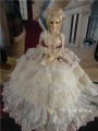 AF2566【木下】MSD,SD,DD(M),DD(L)・DDDy用ドレス5点セット