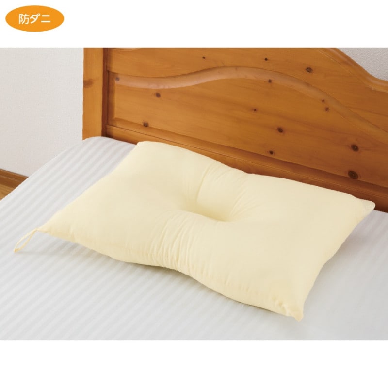 防ダニ抗菌防臭枕(干しヒモ付)