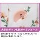 微起毛斜め釦ホールピンタックブラウス