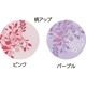 大きめボタンプチサイズのびのびストレッチパジャマ