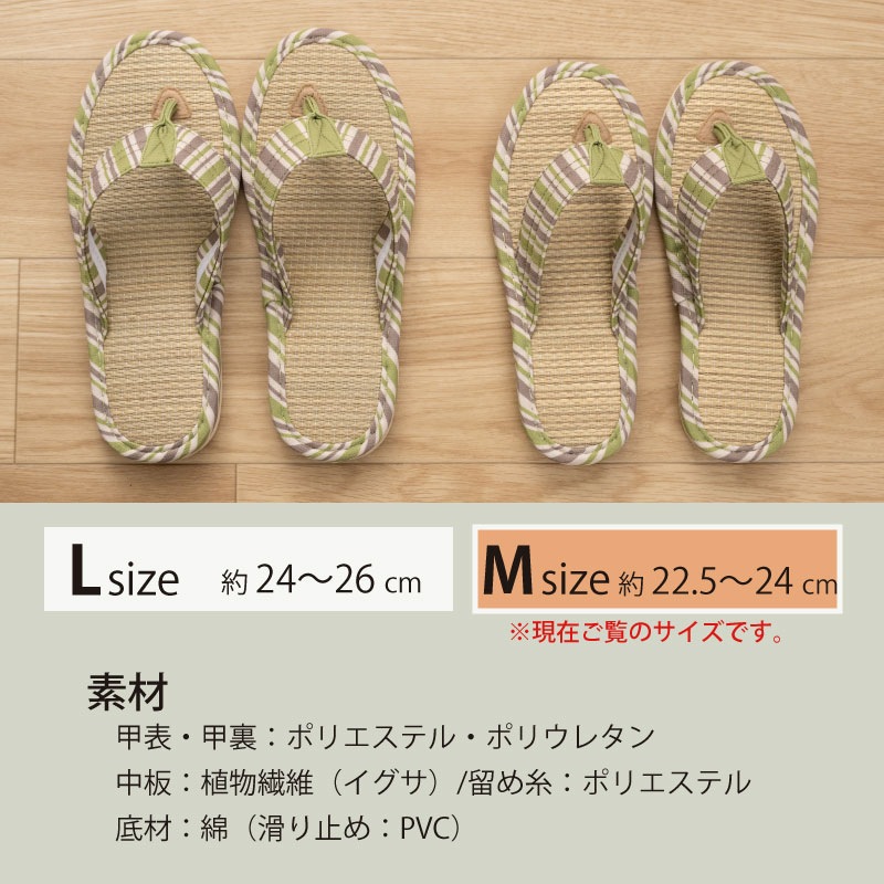 SDS Hanao メデーリー 鼻緒スリッパ 適応サイズ:（M）約22.5～24cm グリーン/レッド
