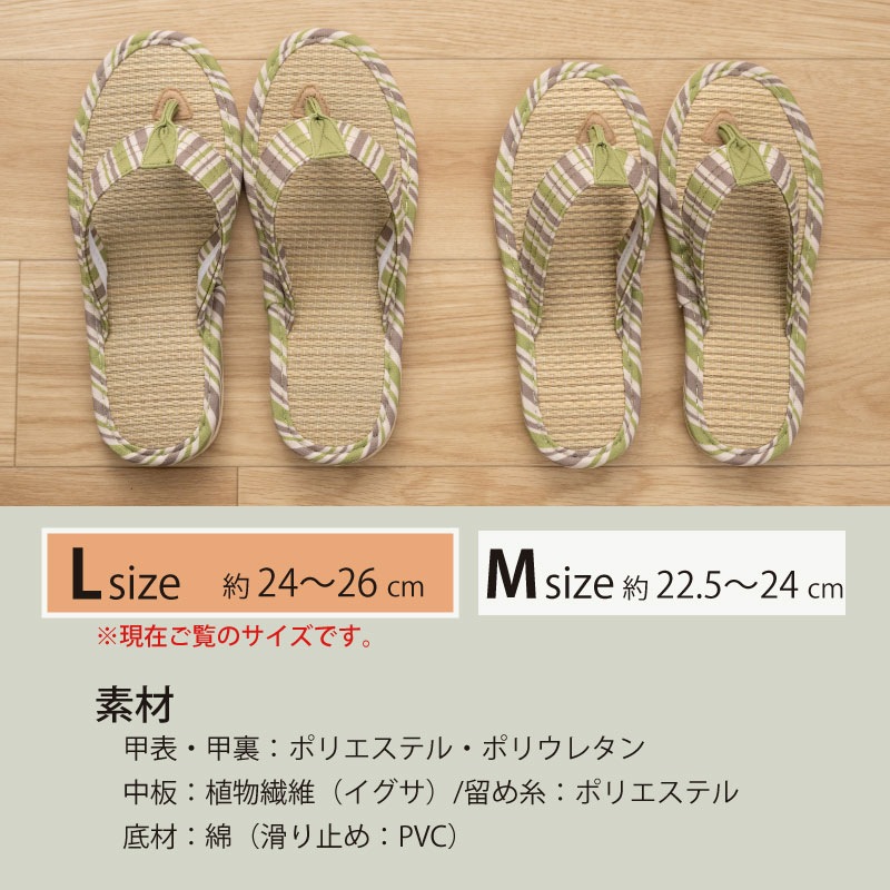 SDS Hanao メデーリー 鼻緒スリッパ 適応サイズ:(L)約24~26cm グリーン/レッド