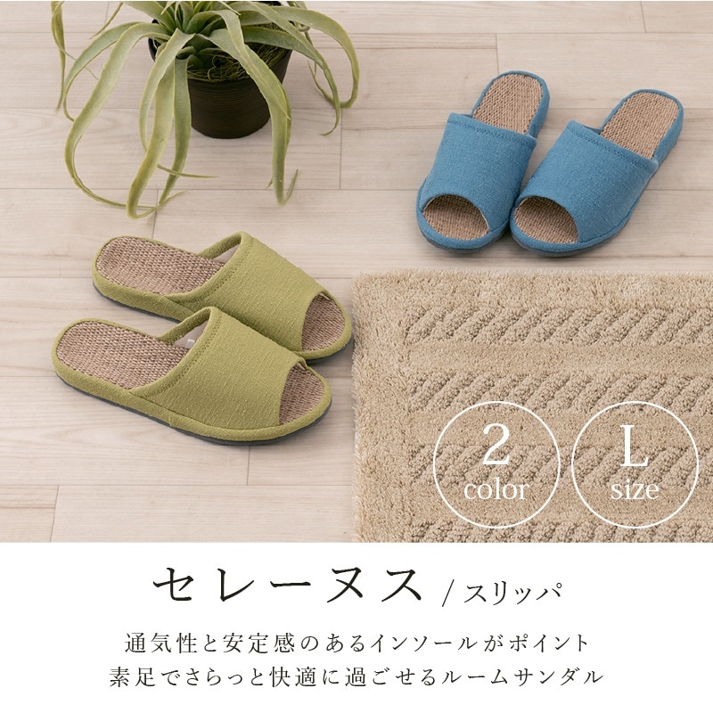 ☆【スリッパ】Lサイズ（約25～26cm） ブルー/グリーン SDS