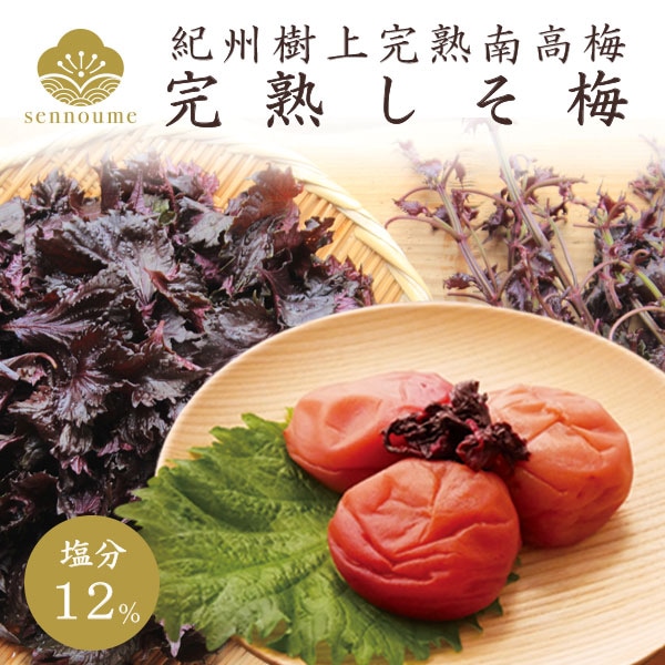 紀州完熟南高梅＜しそ梅＞ご自宅用