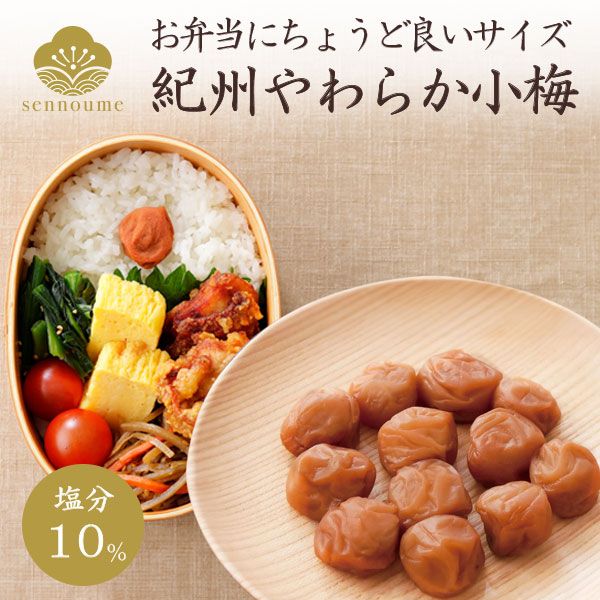 ＜紀州小梅＞ご自宅用