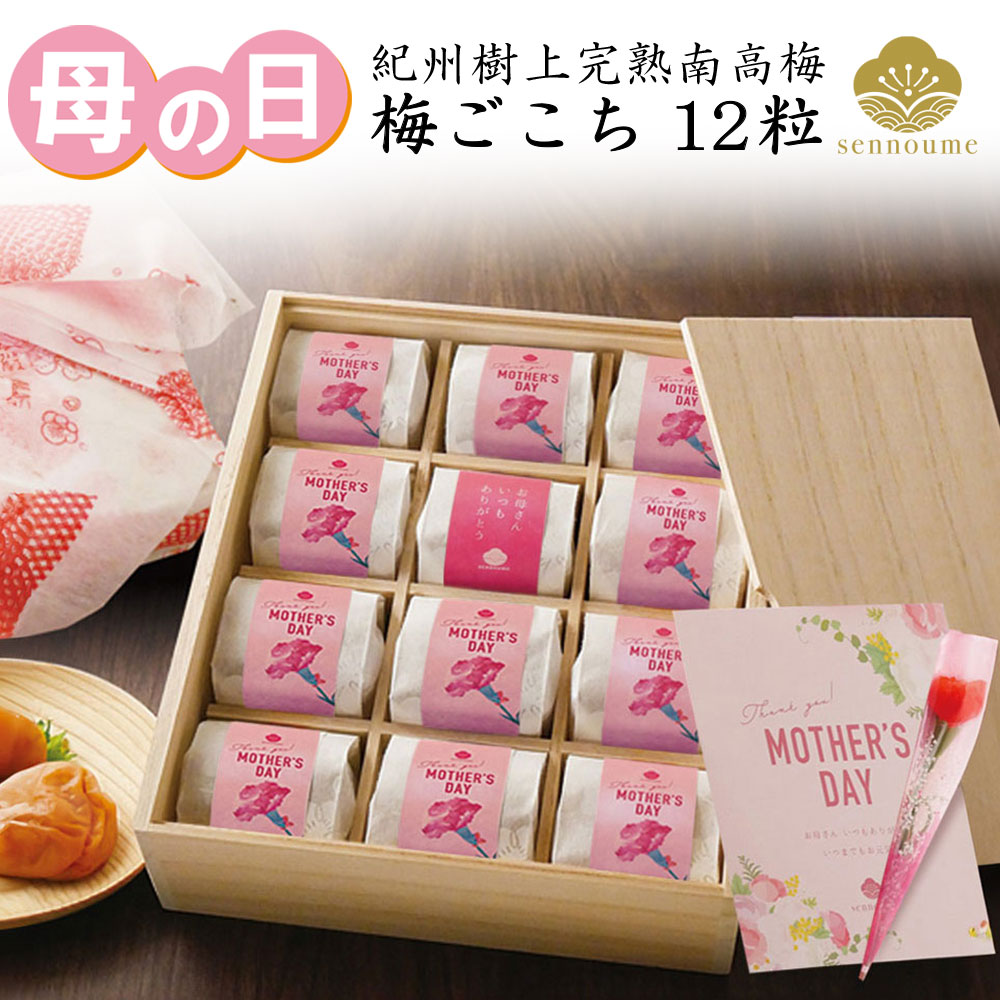 母の日ギフト＜梅ごこち＞(個包装12粒入)【送料無料】