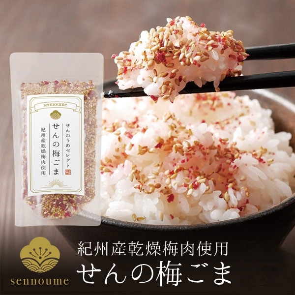 紀州乾燥梅肉<せんの梅ごま>