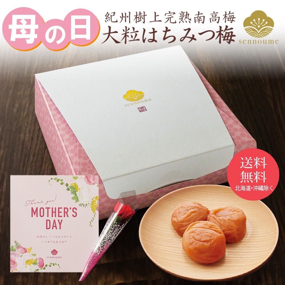 母の日ギフト 紀州完熟南高梅＜大粒はちみつ梅ギフト＞