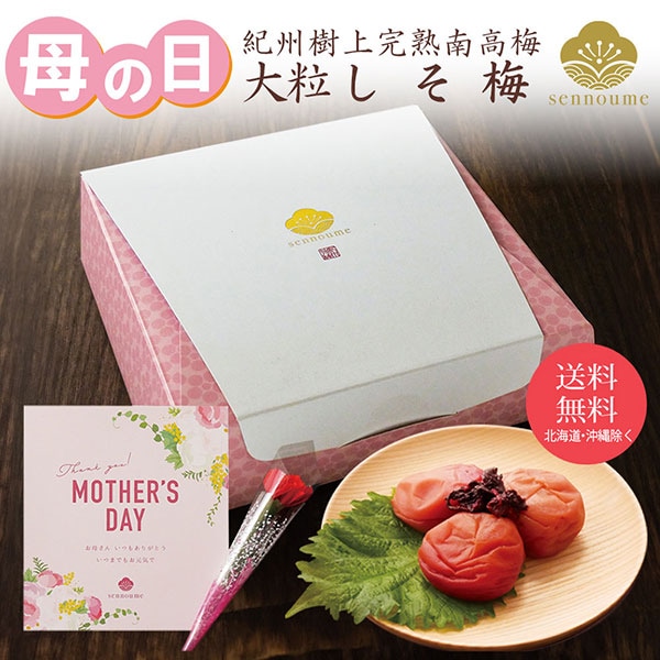 母の日ギフト 紀州完熟南高梅＜大粒しそ梅ギフト＞