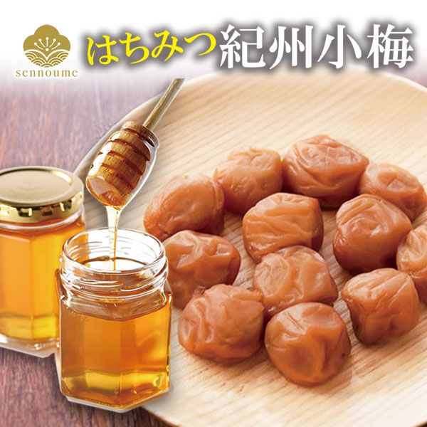 <はちみつ紀州小梅>ご自宅用