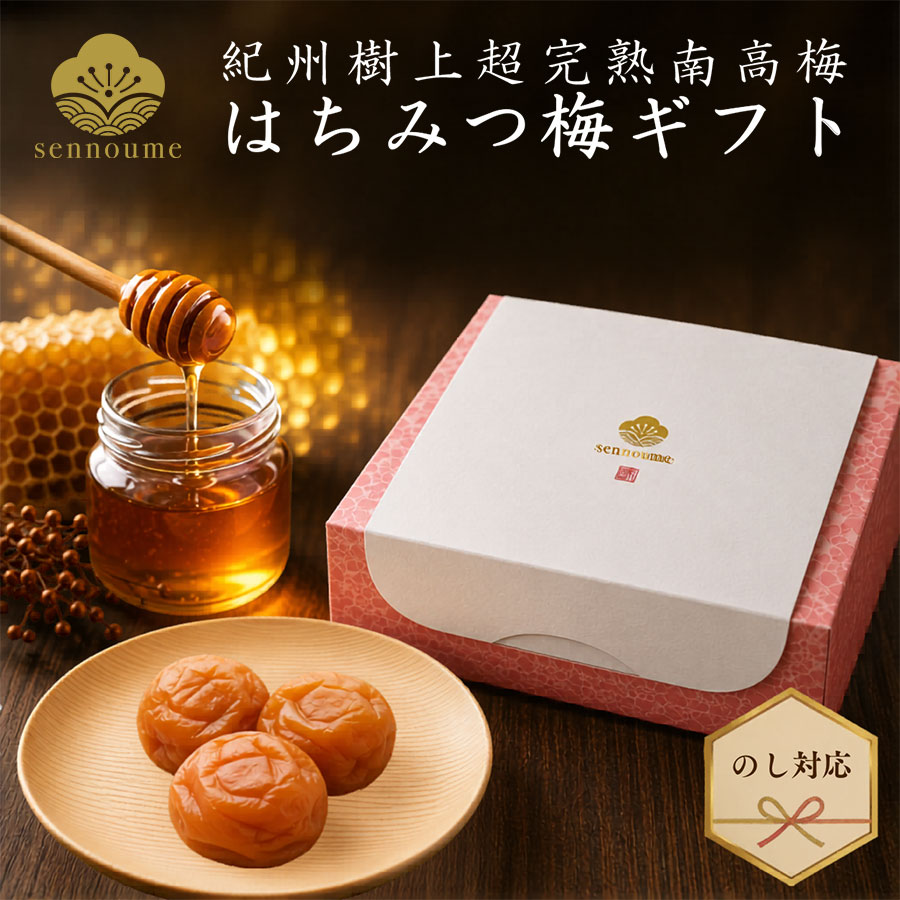 紀州完熟南高梅＜はちみつ梅ギフト＞