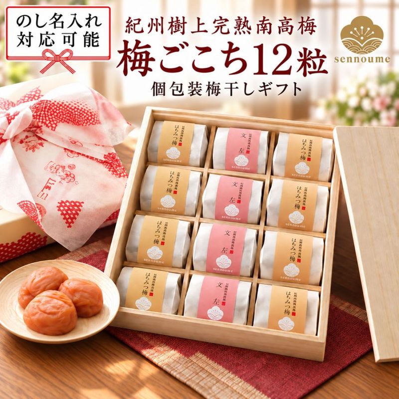 ＜梅ごこち＞(個包装12粒入)【送料無料】