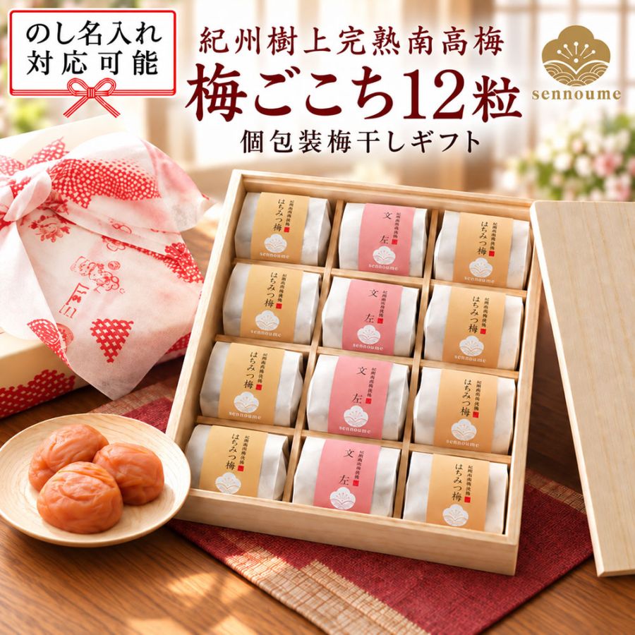 ＜梅ごこち＞(個包装12粒入)【送料無料】