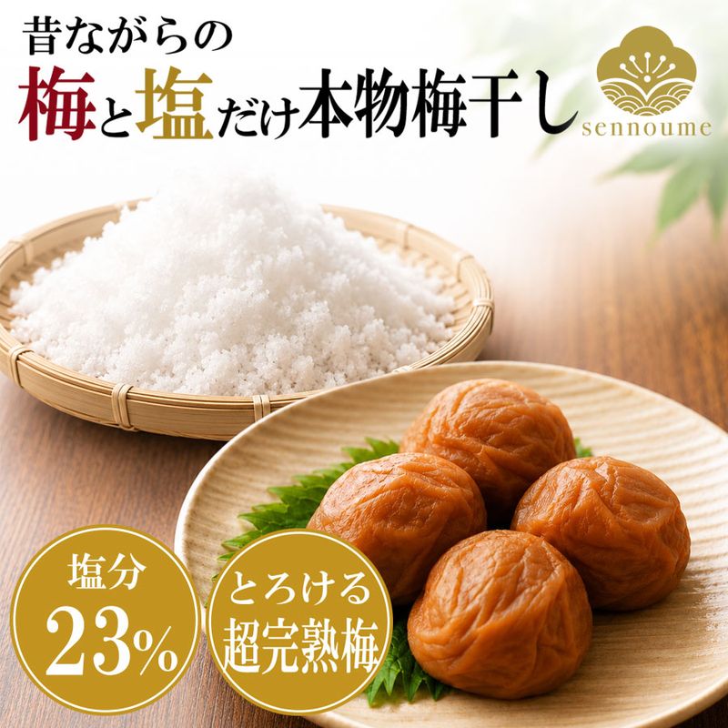 無添加梅干し ＜紀州完熟白干し梅＞ご自宅用