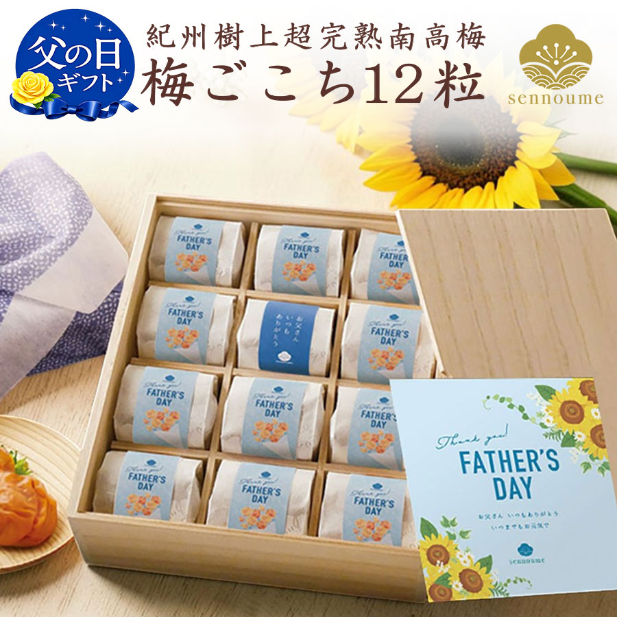 父の日ギフト＜梅ごこち＞(個包装12粒入)【送料無料】