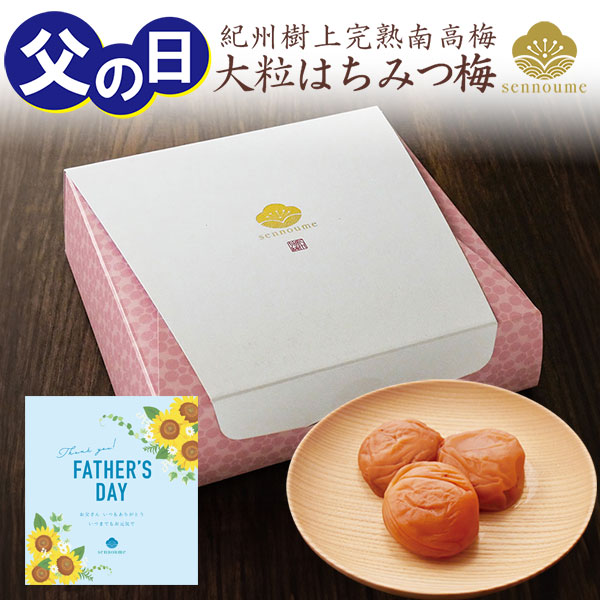 父の日ギフト 紀州完熟南高梅＜大粒はちみつ梅ギフト＞