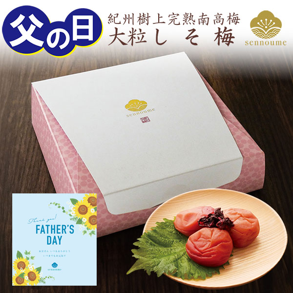 父の日ギフト 紀州完熟南高梅＜大粒しそ梅ギフト＞