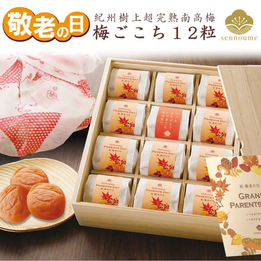 敬老の日ギフト＜梅ごこち＞(個包装12粒入)【送料無料】