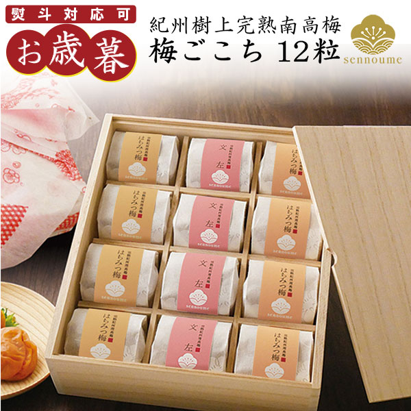 御歳暮 ＜梅ごこち＞(個包装12粒入)【送料無料】