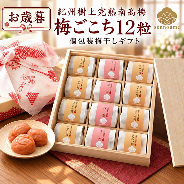 御歳暮 ＜梅ごこち＞(個包装12粒入)【送料無料】