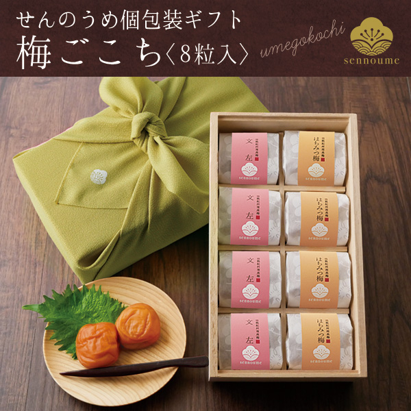 ＜梅ごこち＞(個包装８粒入)＜柚子＞【送料無料】