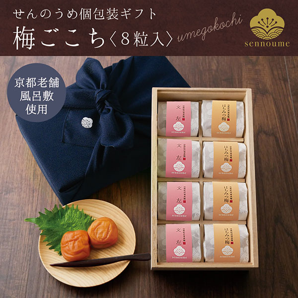 ＜梅ごこち＞(個包装８粒入)＜鉄紺＞【送料無料】