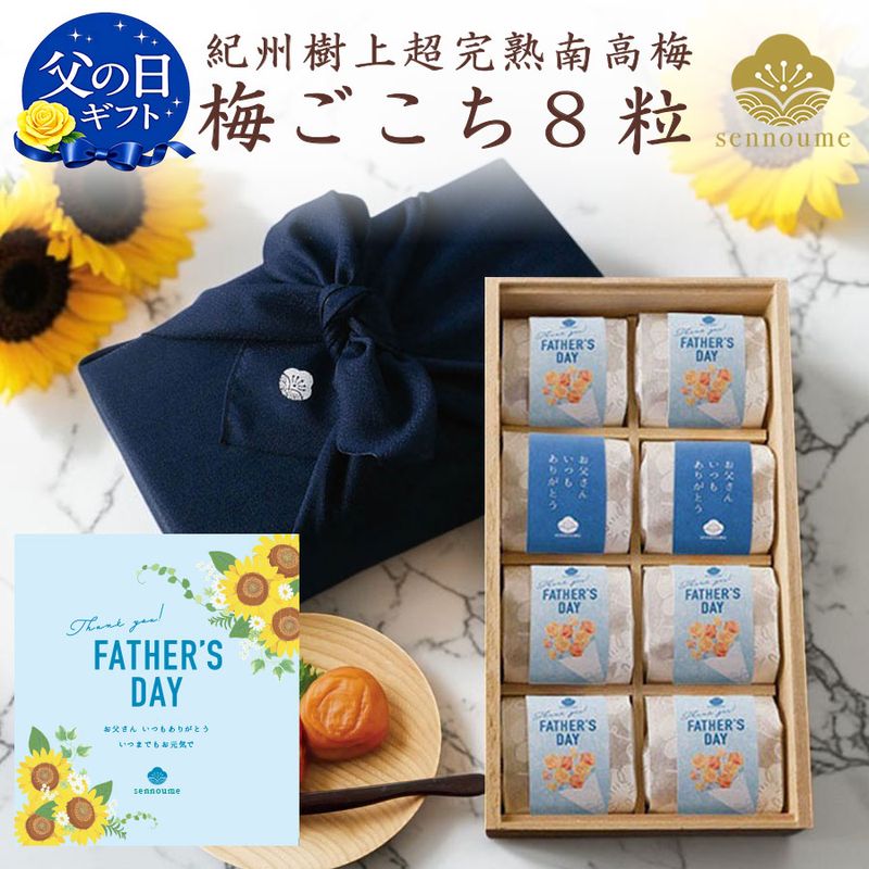 父の日<梅ごこち>(個包装8粒入)<鉄紺>【送料無料】