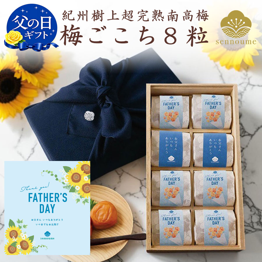 父の日＜梅ごこち＞(個包装８粒入)＜鉄紺＞【送料無料】