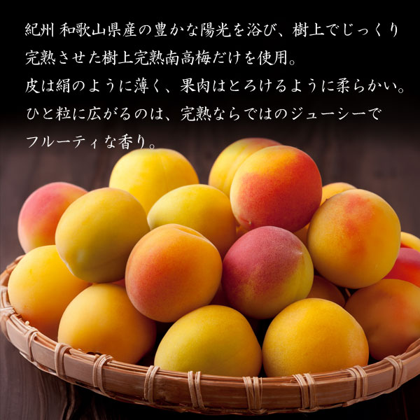 【6月限定8kg】とれたて完熟梅 紀州南高梅 紀州南高梅2種アソート 8個入をお取り寄せ｜梅屋 公式オンラインショップ