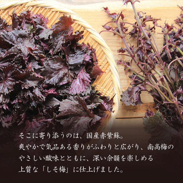 完熟南高梅の旨味と爽やかな香り国産赤紫蘇でつくる人気のしそ梅 紫蘇