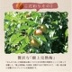 紀州完熟南高梅＜田舎梅＞ご自宅用