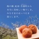 よくばりセット(60g×6種)　　袋入り