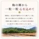 紀州完熟南高梅＜せんのねり梅＞ サムネイル