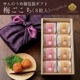 ＜梅ごこち＞(個包装８粒入)＜紫＞【送料無料】