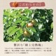 特別限定品B 木箱入り「文左」「しそ梅」700g【送料無料】