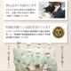 紀州完熟南高梅＜黒潮梅ギフト＞（かつお梅）