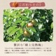 無添加梅干し＜紀州完熟白干し梅ギフト＞