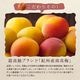 父の日＜梅ごこち＞(個包装８粒入)＜鉄紺＞【送料無料】 サムネイル