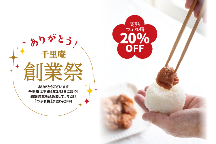 紀州南高梅 完熟つぶれ梅（はちみつ漬）