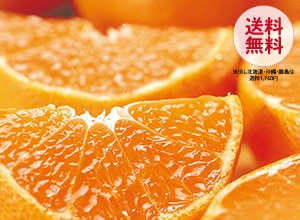 和歌山みかん(送料無料)